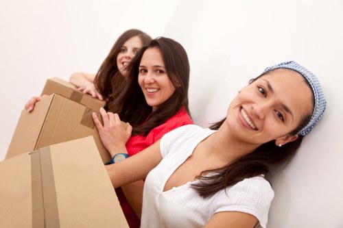 Professional man and van support in Elephant and Castle area